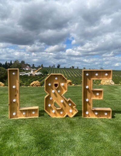 Letras Iniciales Madera Iluminadas para Bodas y Eventos